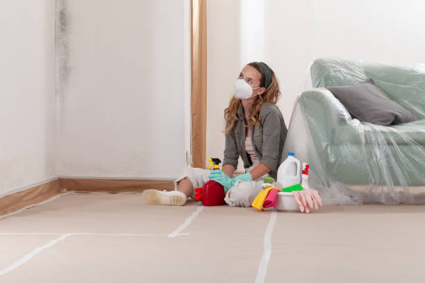 Reliable Mold Remediation contractor in Trenton, GA by WQB Mold Removal