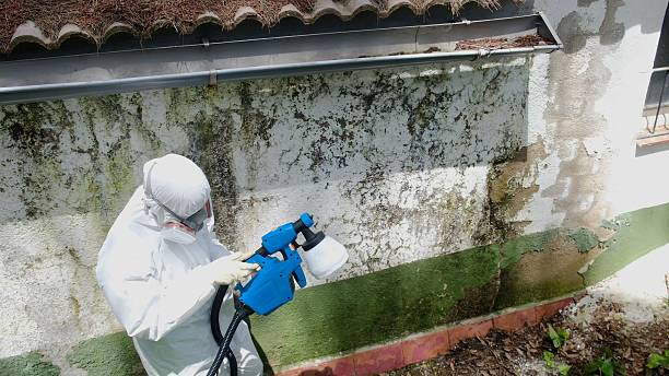 Top rated local Mold Remediation specialists in Trenton, GA